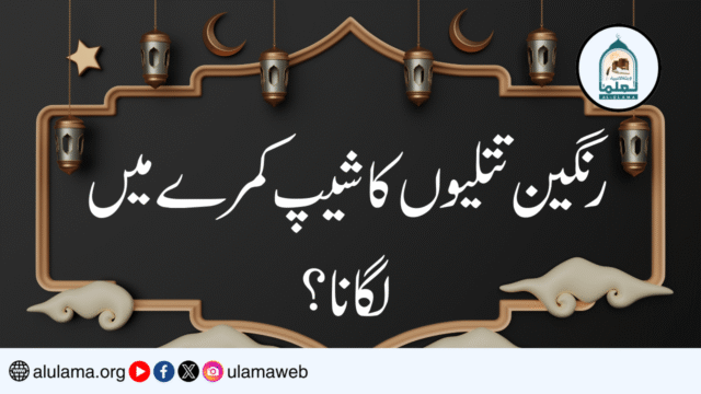 رنگین تتلیوں کا شیپ کمرے میں لگانا؟