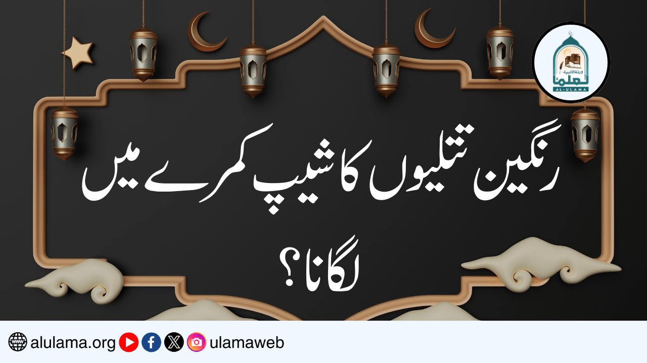 رنگین تتلیوں کا شیپ کمرے میں لگانا؟