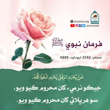 نرمي جي اھميت