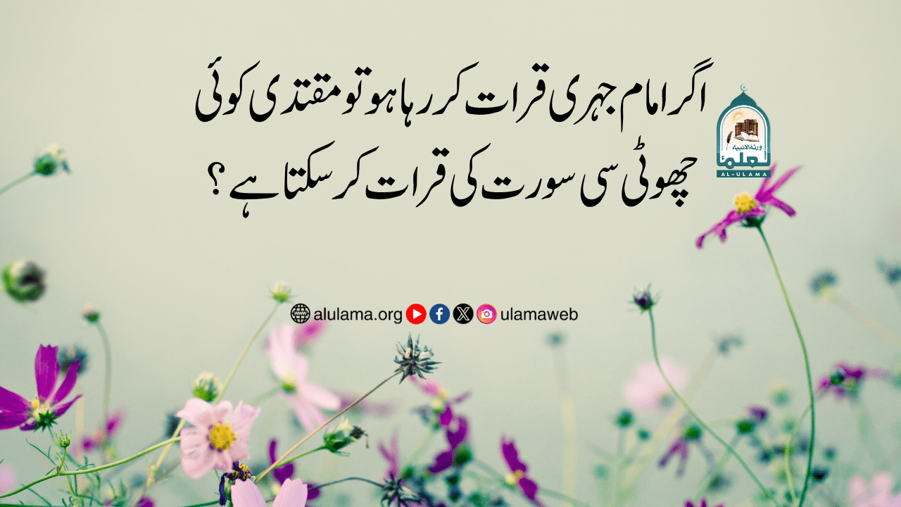 اگر امام جہری قرات کر رہا ہو تو مقتدی کوئی چھوٹی سی سورت کی قرات کر سکتا ہے؟
