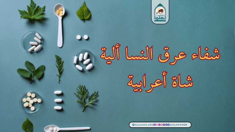 شفاء عرق النسا ألية شاة أعرابية