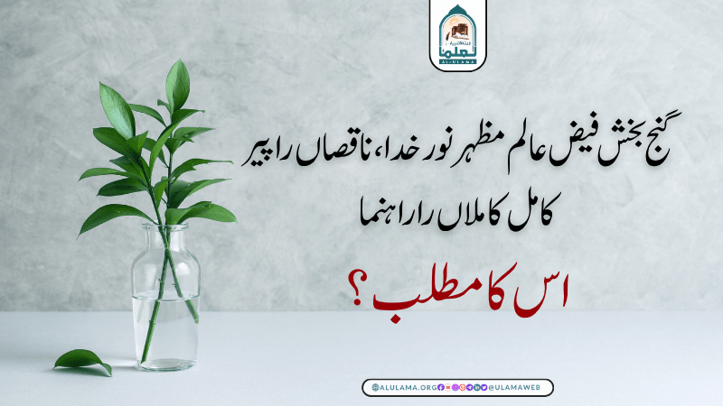 گنج بخش فیض عالم مظہر نور خدا، ناقصاں را پیر کامل کاملاں را راہنما” اس کا مطلب؟