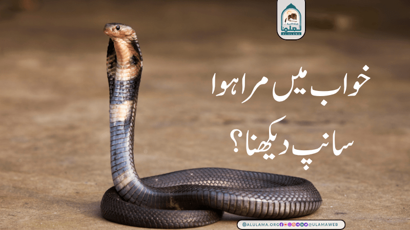 خواب میں مرا ہوا سانپ دیکھنا؟
