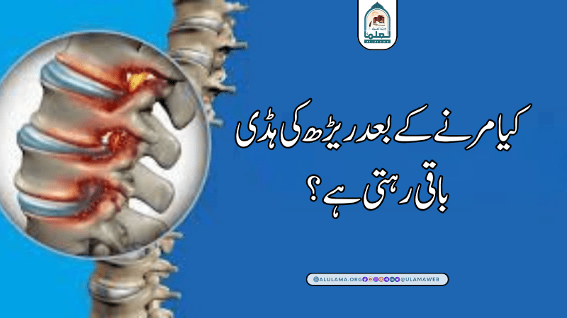 کیا مرنے کے بعد ریڑھ کی ہڈی باقی رہتی ہے؟