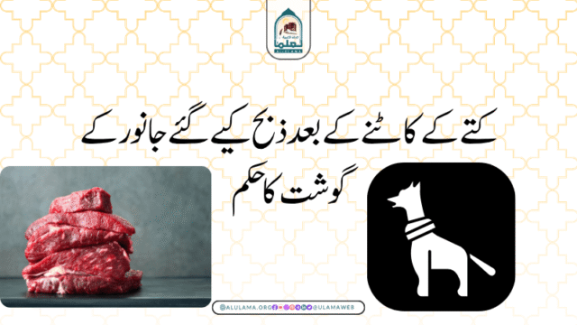 کتے کے کاٹنے کے بعد ذبح کیے گئے جانور کے گوشت کا حکم کتے کے کاٹنے کے بعد ذبح کیے گئے جانور کے گوشت کا حکم