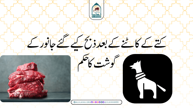 کتے کے کاٹنے کے بعد ذبح کیے گئے جانور کے گوشت کا حکم کتے کے کاٹنے کے بعد ذبح کیے گئے جانور کے گوشت کا حکم