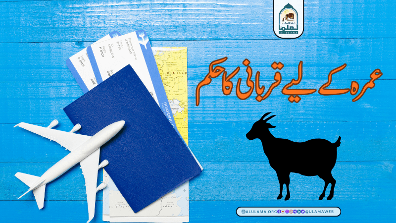 عمرہ کے لیے قربانی کا حکم عمرہ کے لیے قربانی کا حکم