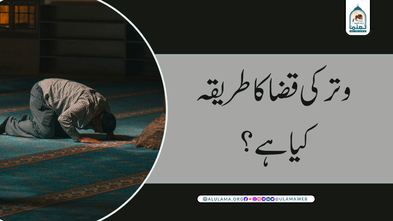 وتر کی قضا کا طریقہ کیا ہے؟