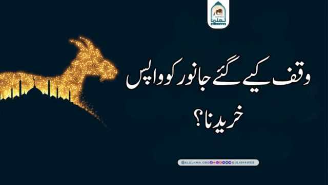 وقف کیے گئے جانور کو واپس خریدنا؟