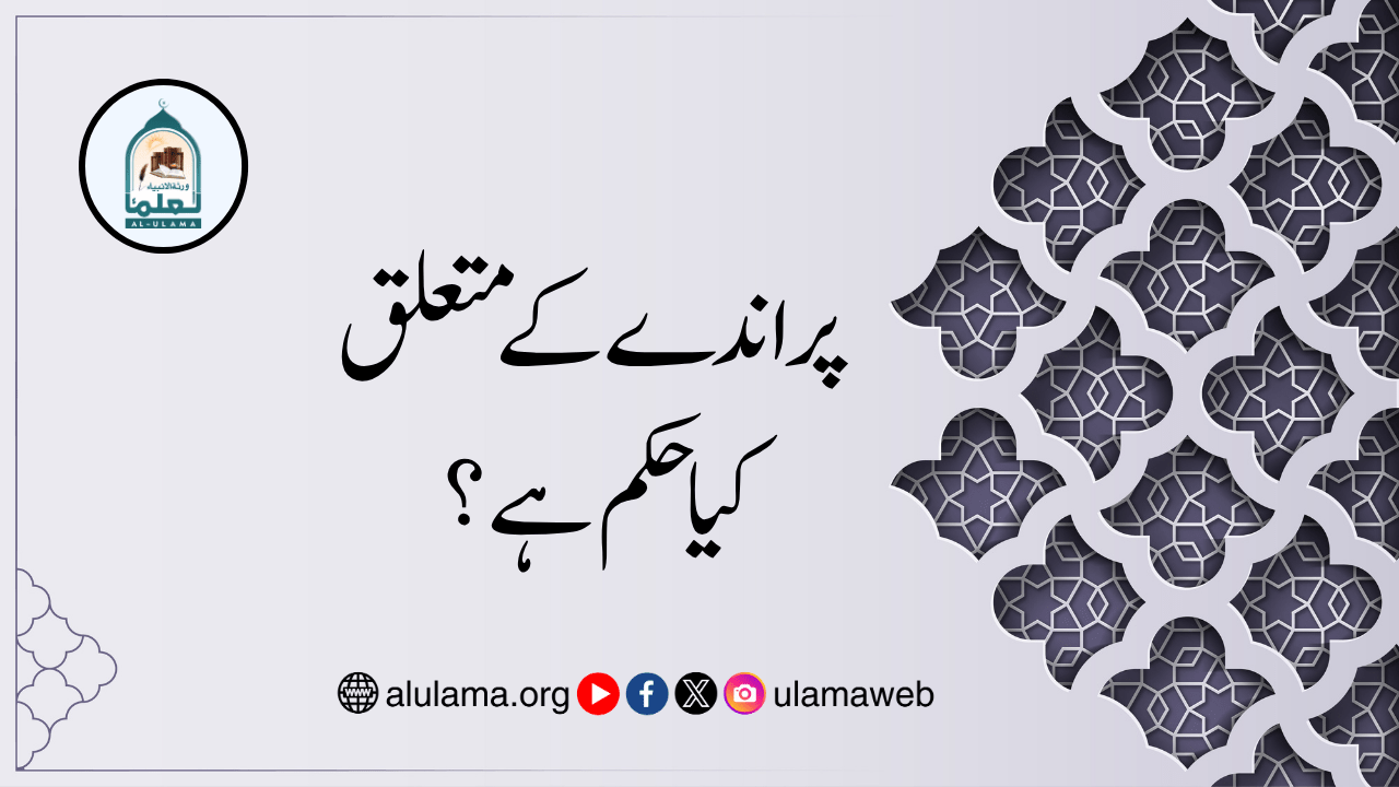 پراندے کے متعلق کیا حکم ہے؟