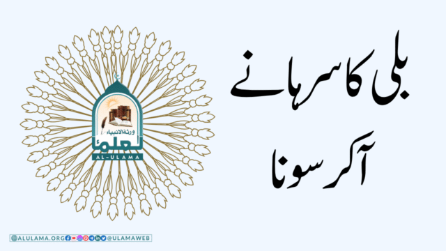 بلی کا سرہانے آکر سونا