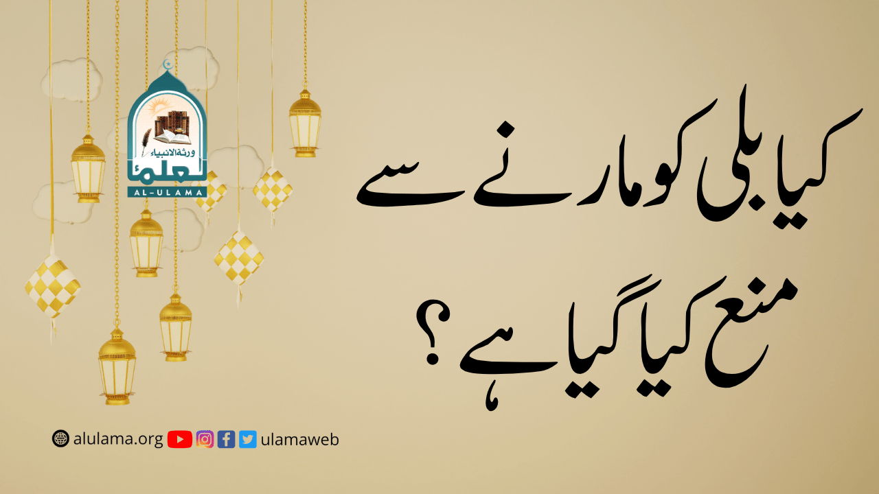 کیا بلی کو مارنے سے منع کیا گیا ہے؟