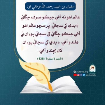 سچو عالم ڪير؟