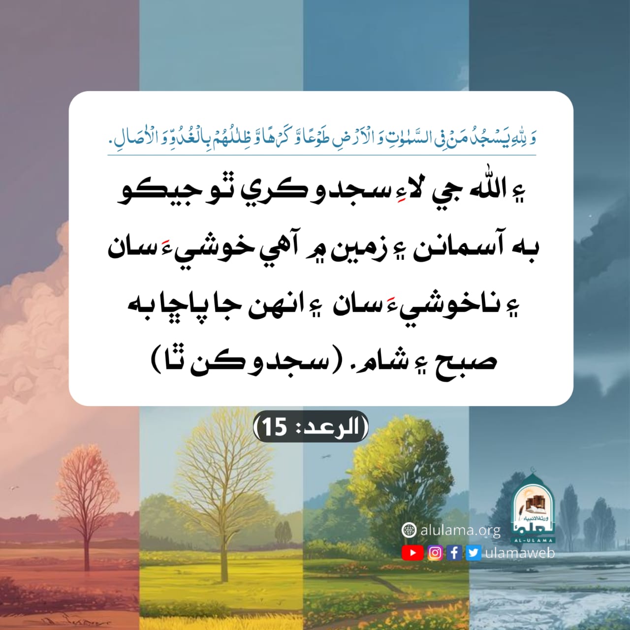 ھر شئي سجدو ڪري ٿي!