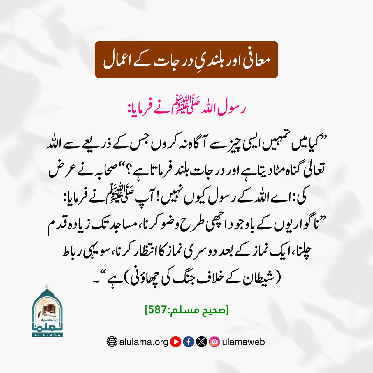 معافی اور بلندیِ درجات کے اعمال