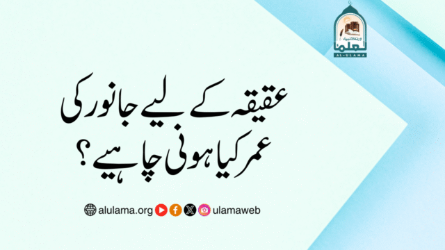 عقیقہ کے لیے جانور کی عمر کیا ہونی چاہیے؟