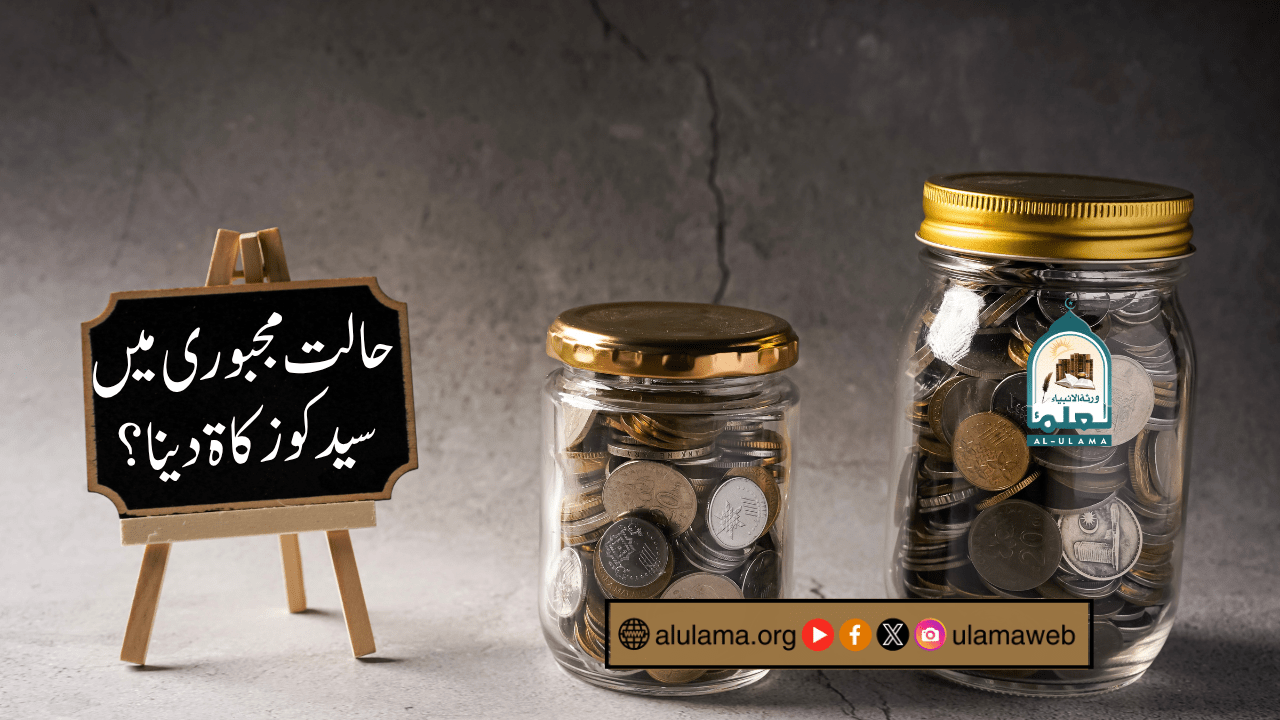 حالت مجبوری میں سید کو زکاۃ دینا؟