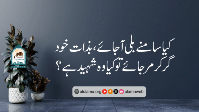 کیا سامنے بلی آ جائے، بذات خود گر کر مرجائے تو کیا وہ شہید ہے؟