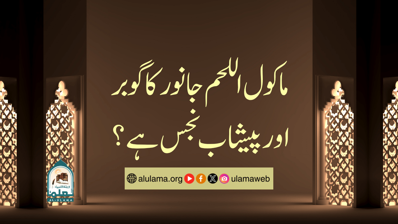 ماکول اللحم جانور کا گوبر اور پیشاب نجس ہے؟