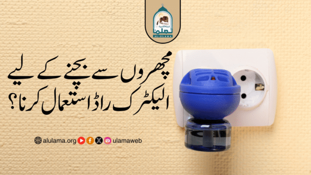 مچھروں سے بچنے کے لیے الیکٹرک راڈ استعمال کرنا؟