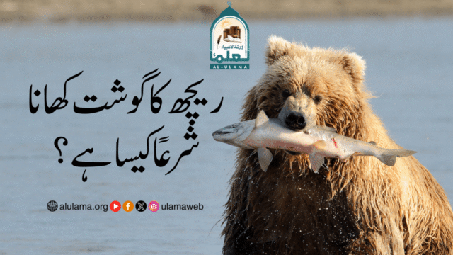 ریچھ کا گوشت کھانا شرعاً کیسا ہے؟
