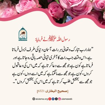 رب تبارک و تعالیٰ کا ہر رات آسمان دنیا کی طرف نزول!