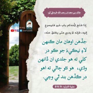 نيڪي ۾ جلدي