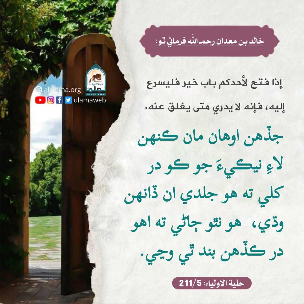 نيڪي ۾ جلدي