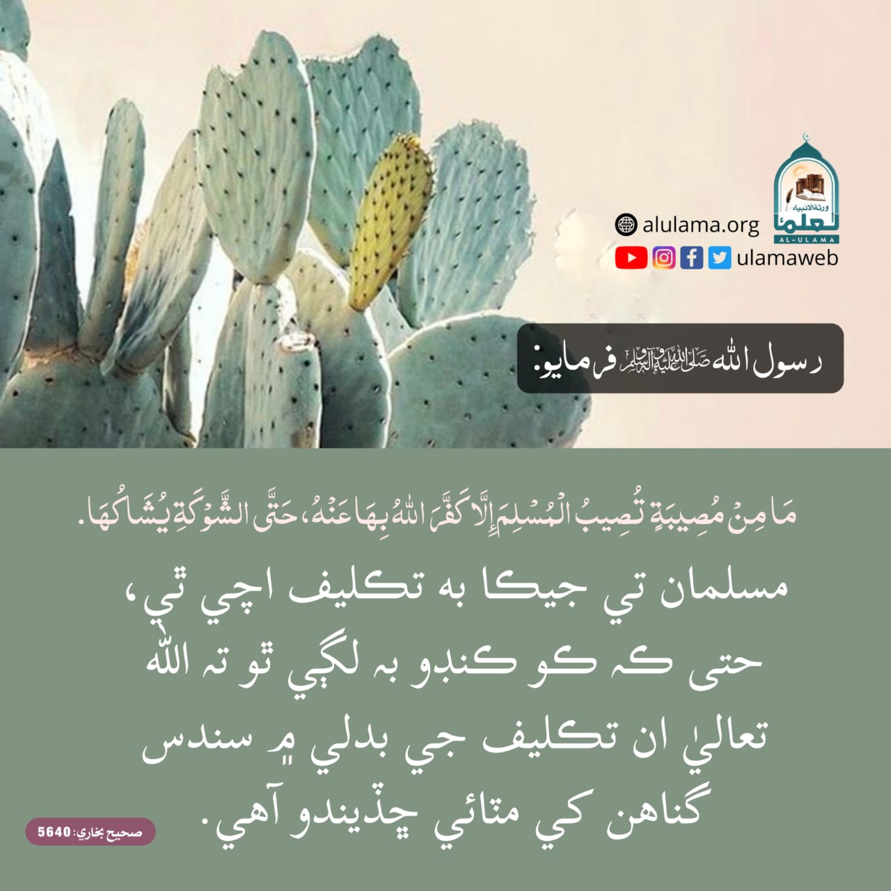 گناھن جو ڪفارو