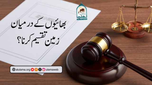 بھائیوں کے درمیان زمین تقسیم کرنا؟