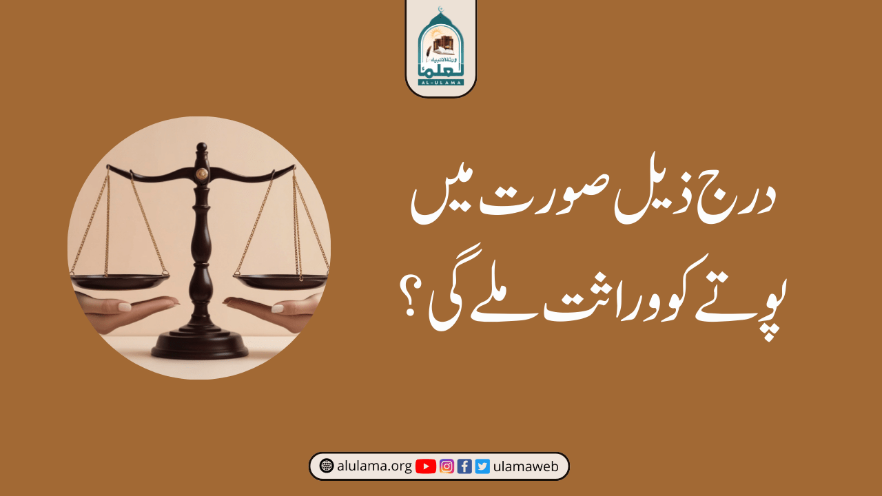 درج ذیل صورت میں پوتے کو وراثت ملے گی؟