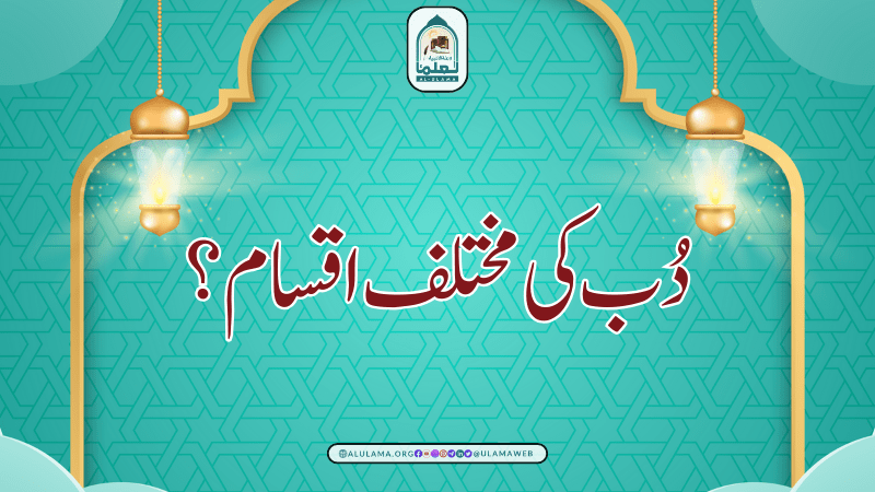 دُب کی مختلف اقسام؟