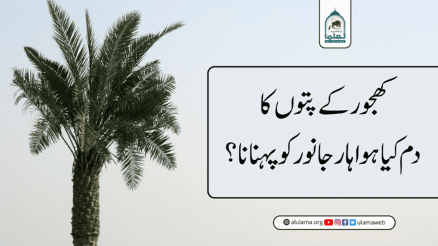 کھجور کے پتوں کا دم کیا ہوا ہار جانور کو پہنانا؟