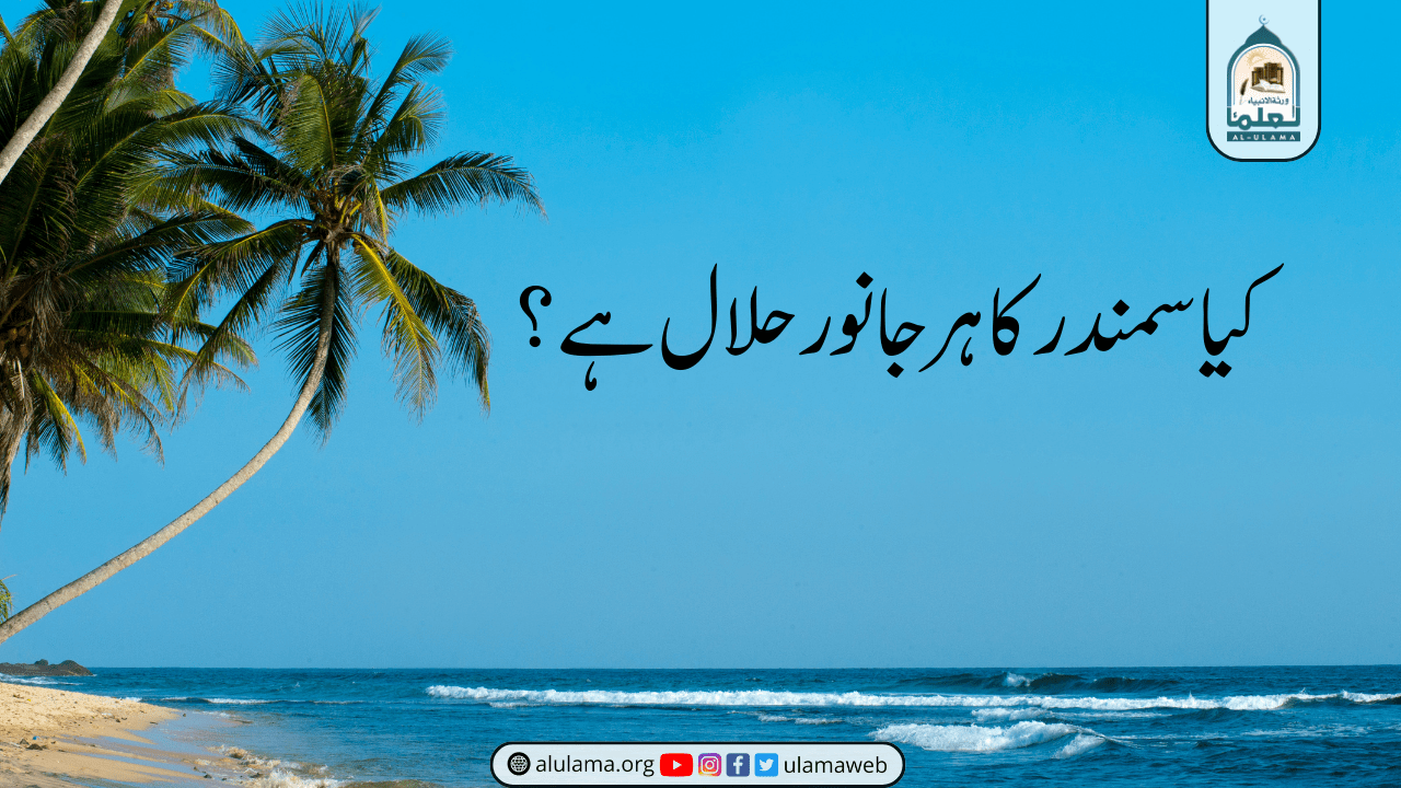 کیا سمندر کا ہر جانور حلال ہے؟