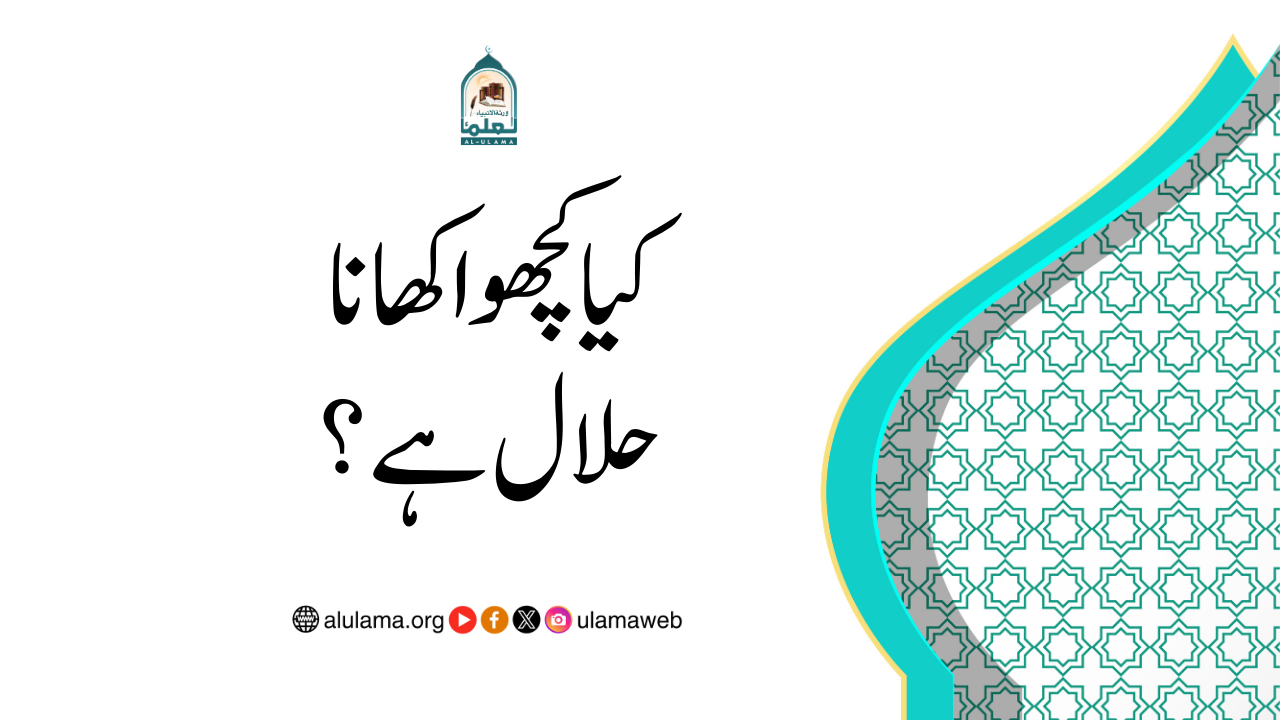 کیا کچھوا کھانا حلال ہے؟