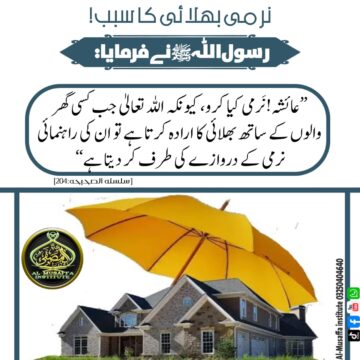 نرمی بھلائی کا سبب!