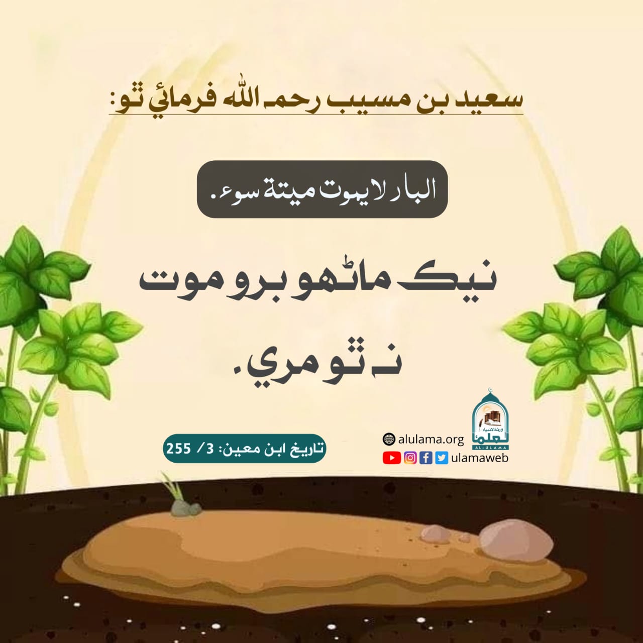 نيڪي جا فائدا