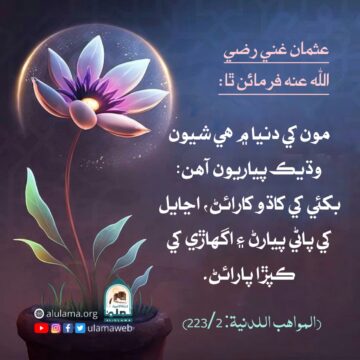 عثمان رضي اللہ عنہ جي پسند