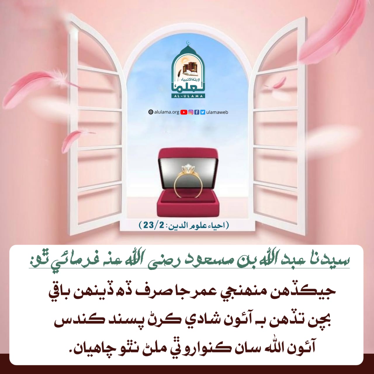 نڪاح جي اھميت