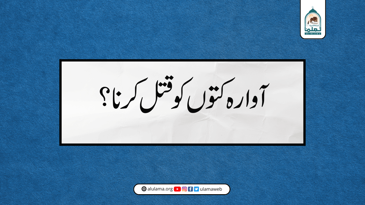 آوارہ کتوں کو قتل کرنا