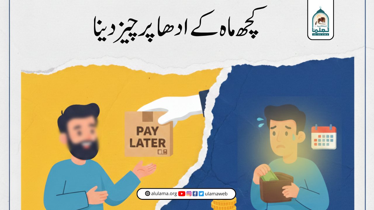 کچھ ماہ کے ادھا پر چیز دینا