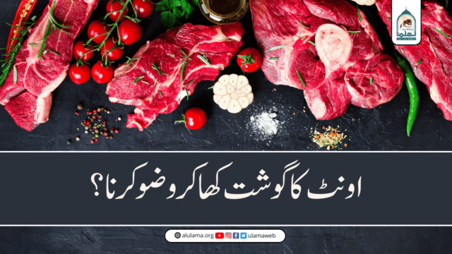 اونٹ کا گوشت کھا کر وضو کرنا