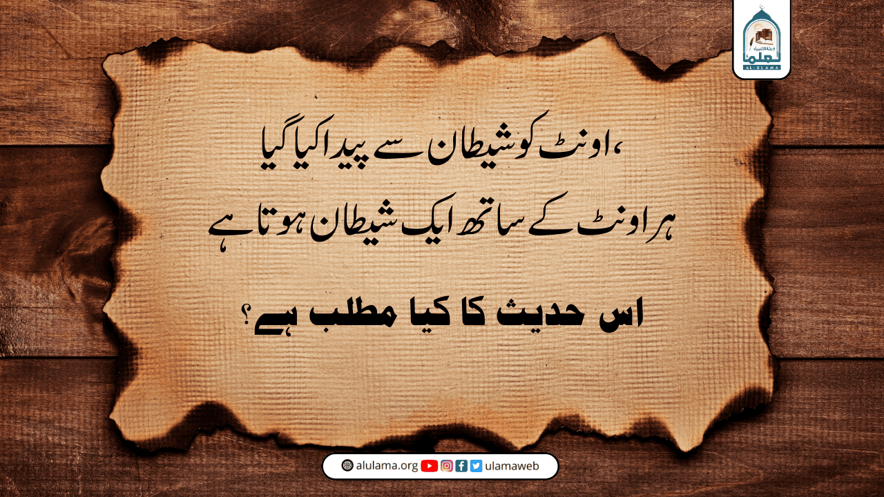 “اونٹ کو شیطان سے پیدا کیا گیا، ہر اونٹ کے ساتھ ایک شیطان ہوتا ہے” اس حدیث کا کیا مطلب ہے؟
