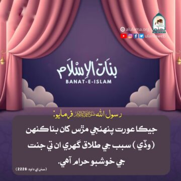 بنا سبب جي طلاق گھرڻ