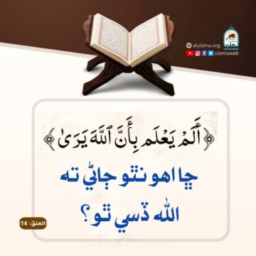 اللہ سڀ ڏسي ٿو