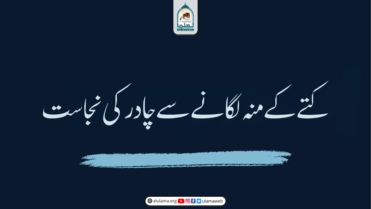 کتے کے منہ لگانے سے چادر کی نجاست