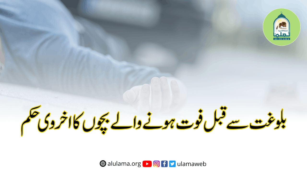 بلوغت سے قبل فوت ہونے والے بچوں کا اخروی حکم
