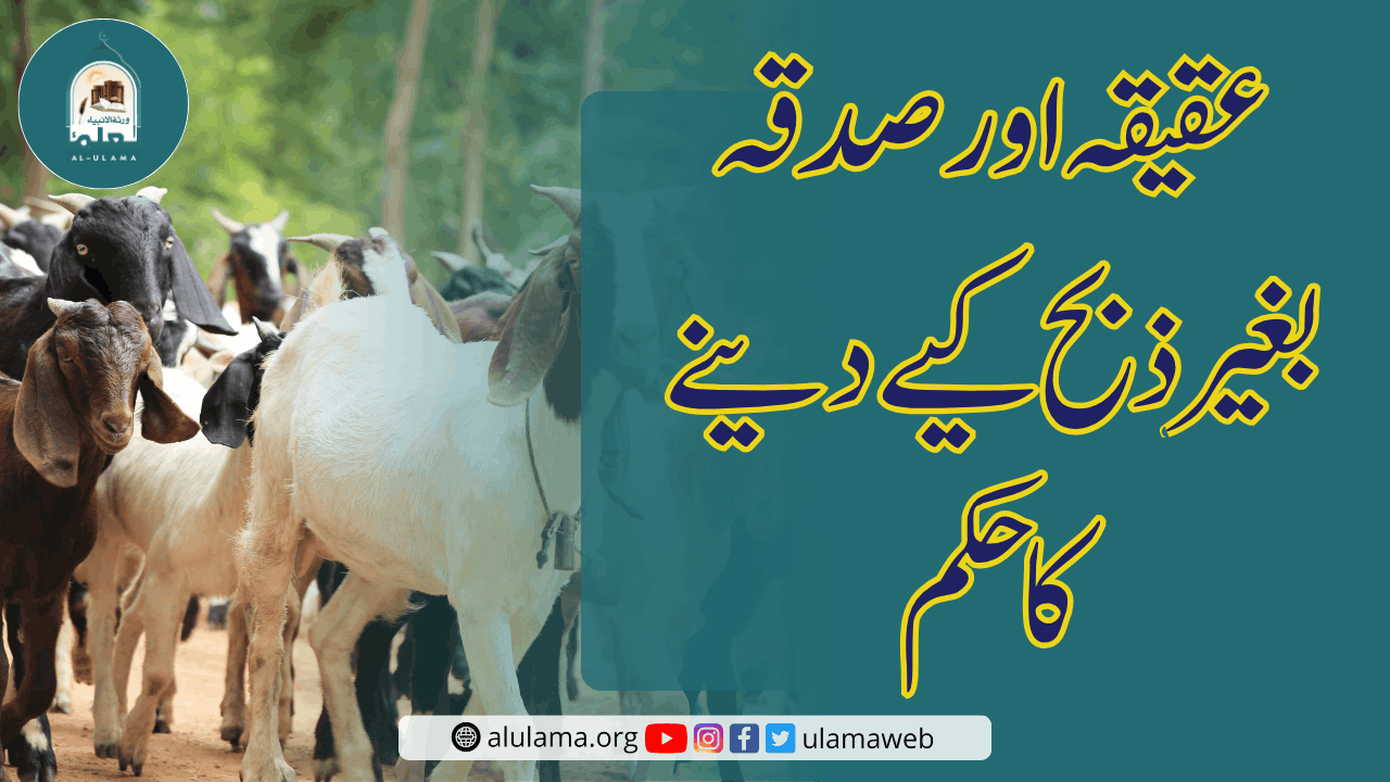 عقیقہ اور صدقہ بغیر ذبح کیے دینے کا حکم