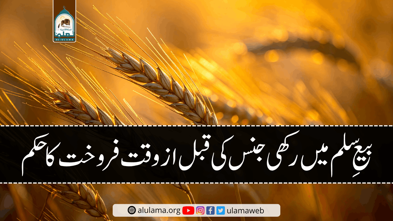 بیعِ سلم میں رکھی جنس کی قبل از وقت فروخت کا حکم
