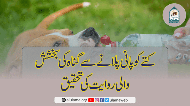 کتے کو پانی پلانے سے گناہ کی بخشش والی روایت کی تحقیق